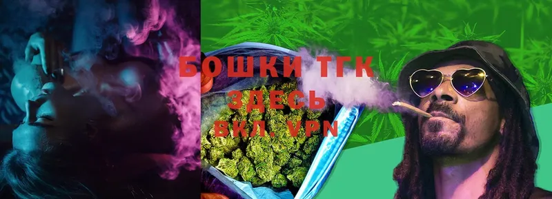 Бошки Шишки THC 21%  купить наркоту  Ардатов 